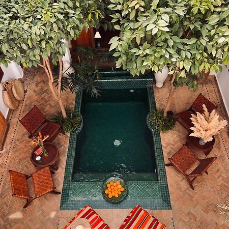 Riad Prive Sadaka Bassin Rooftop 马拉喀什 外观 照片